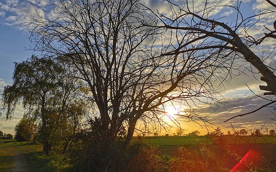 Foto: EKBO, Lizenz: EKBO