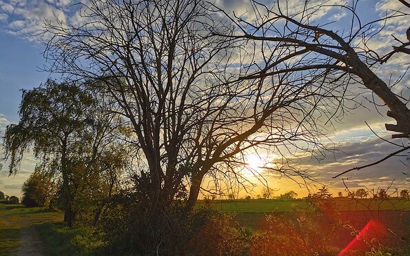 Foto: EKBO, Lizenz: EKBO