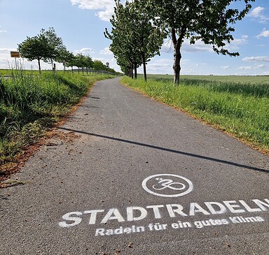 Radtour: Radeln, staunen, verweilen - unterwegs im Naturpark Nuthe-Nieplitz