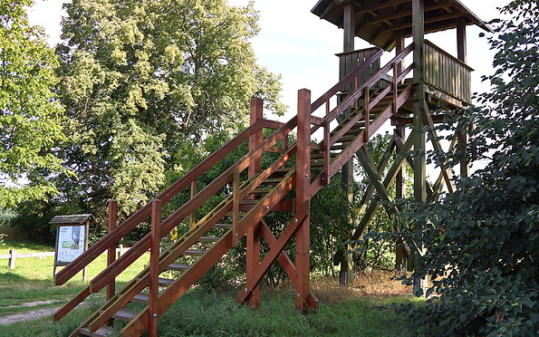 Foto: Michael Mattke, Lizenz: Amt Joachimsthal(Schorfheide)