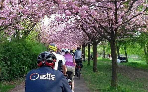 ADFC-Fahrradtour, Foto: J. Möbis, Lizenz: J. Möbis