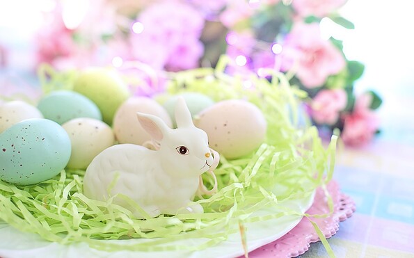 Foto: gratis über pixabay, Lizenz: pixabay