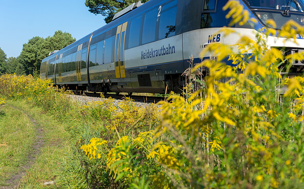 Mit der "Heidekrautbahn" auf Literaturfahrt, Foto: Silke Willenborg, Lizenz: NEB Niederbarnimer Eisenbahn