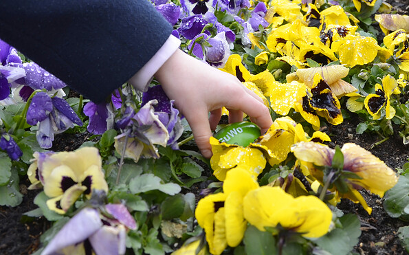 Foto: Kerstin Geilich, Lizenz: Marketing und Tourismus Guben e.V.