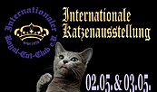 Foto: Royal Cat club, Lizenz: Royal Cat Club