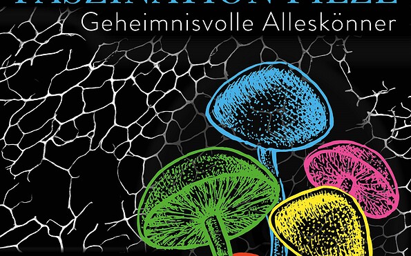 Foto: Barnim Panorama Wandlitz, Lizenz: Barnim Panorama Wandlitz