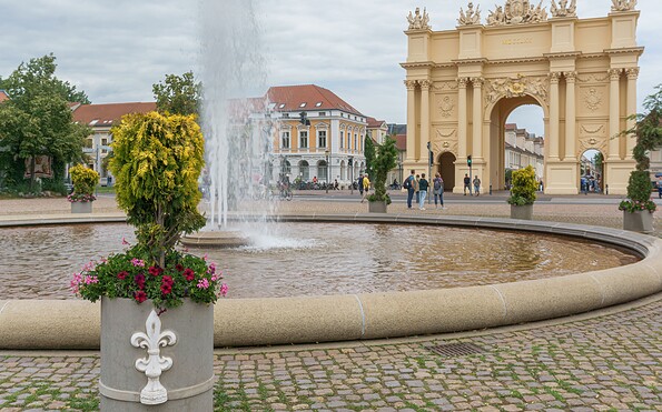 Foto: Sophie Soike, Lizenz: PMSG