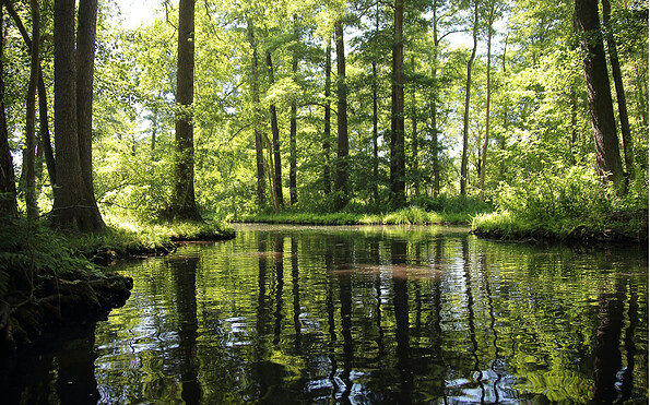 Foto: Heimatverein Grünheide (Mark) e.V., Lizenz: Heimatverein Grünheide (Mark) e.V.