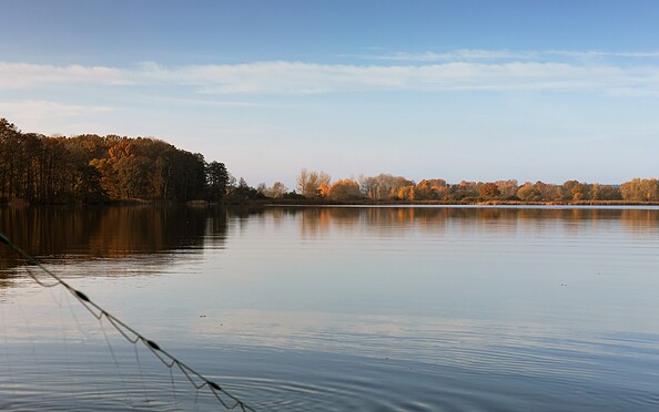 Foto: Burkhard Teichert