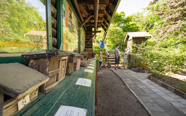 Foto: Florian Läufer, Lizenz: Seenland Oder Spree