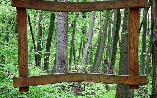 Waldwunderbar, Foto: Tim Kolbe, Lizenz: Tim Kolbe