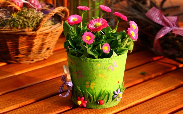 Foto: Pixabay, Lizenz: Pixabay