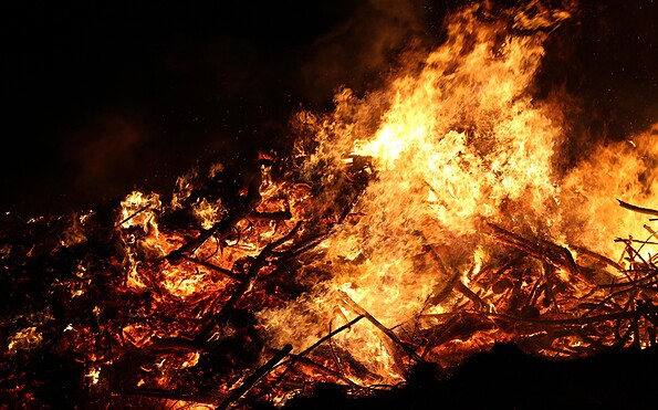 Foto: Reynard1603, Lizenz: pixabay