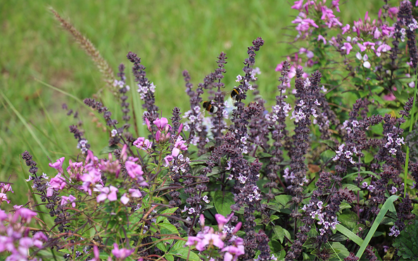 Foto: Cornelia Schach, Lizenz: BeSt Bernauer Stadtmarketing GmbH