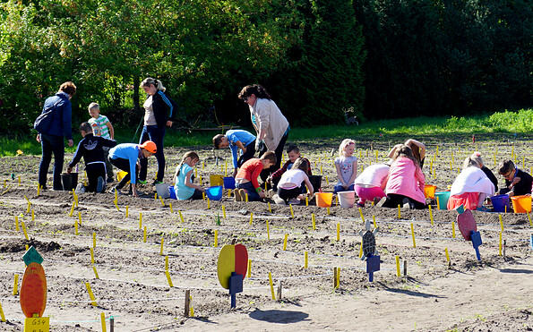 Foto: Jenny Ehrke, Lizenz: Stadt Schwedt/Oder