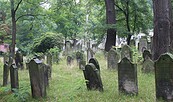 Der Jüdische Friedhof Potsdam, Foto: Anke Geißler-Grünberg, Lizenz: Förderverein Jüdischer Friedhof Potsdam