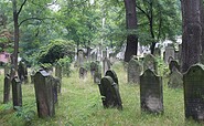 Der Jüdische Friedhof Potsdam, Foto: Anke Geißler-Grünberg, Lizenz: Förderverein Jüdischer Friedhof Potsdam