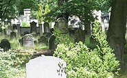 Der Jüdische Friedhof Potsdam, Foto: Anke Geißler-Grünberg, Lizenz: Förderverein Jüdischer Friedhof Potsdam