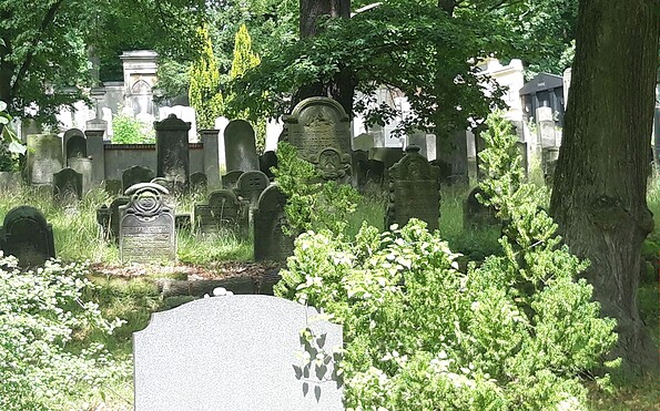 Der Jüdische Friedhof Potsdam, Foto: Anke Geißler-Grünberg, Lizenz: Förderverein Jüdischer Friedhof Potsdam