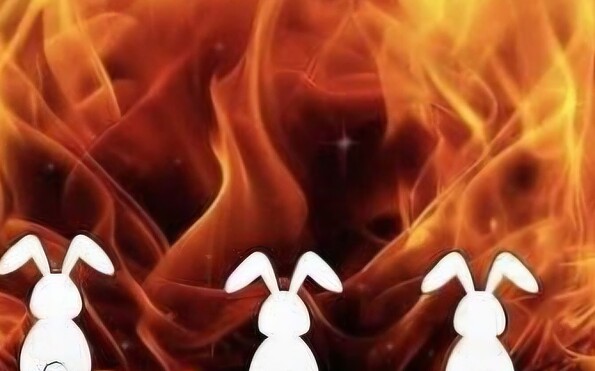 Foto: FSV 95 e.V., Lizenz: FSV 95 e.V.