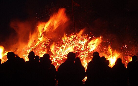 Foto: Beeki, Lizenz: pixabay