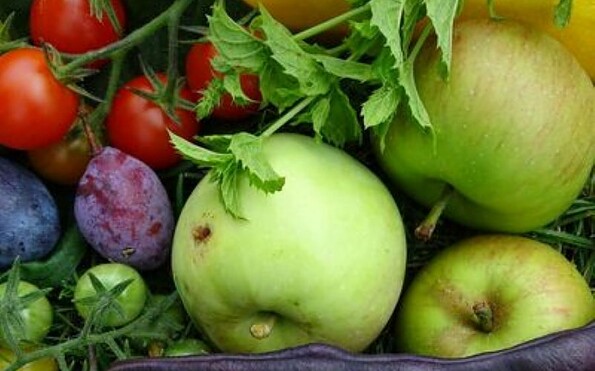 Foto: Frida Kuhlbars, Lizenz: Frida Kuhlbars