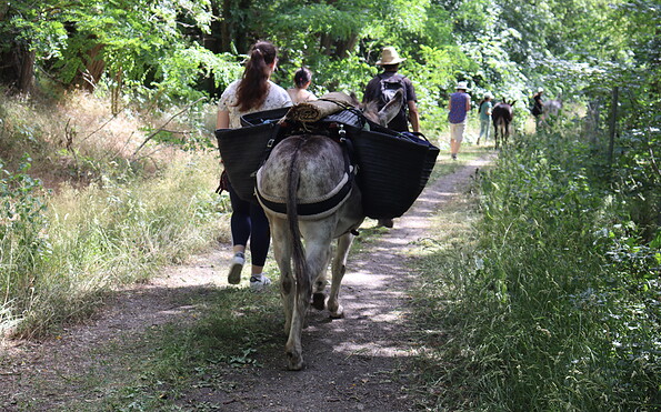 Foto: A.Emrich, Lizenz: Landschafts-Förderverein Nuthe-Nieplitz-Niederung e.V.