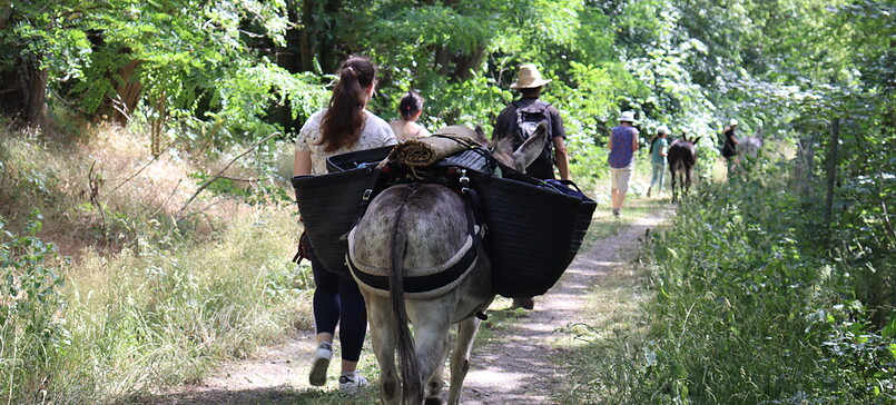 Eselwanderung in den Glauer Bergen (Kopie)