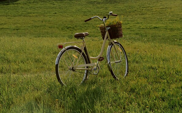 Foto: Ron Lach, Lizenz: Ron Lach / pexels