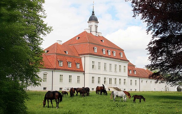 Foto: Brandenburgisches Haupt- und Landgestüt Neustadt (Dosse)