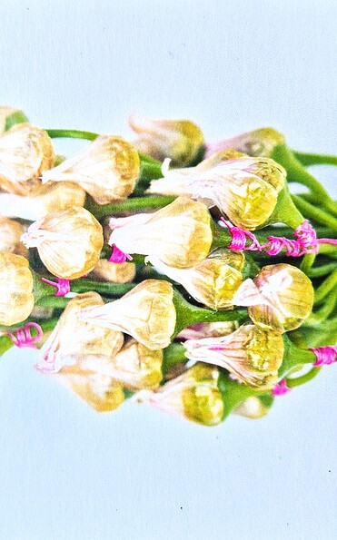 Foto: Margarete Fuchs, Lizenz: Margarete Fuchs