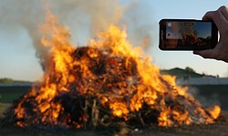 Osterfeuer Kleinzerlang