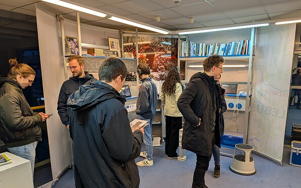 Foto: Michael Kurzwelly, Lizenz: Michael Kurzwelly