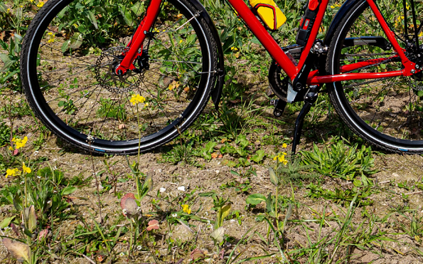 Foto: Oliver Pagels, Lizenz: Stadt Teltow