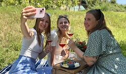 Potsdamer WeinPICKNICK