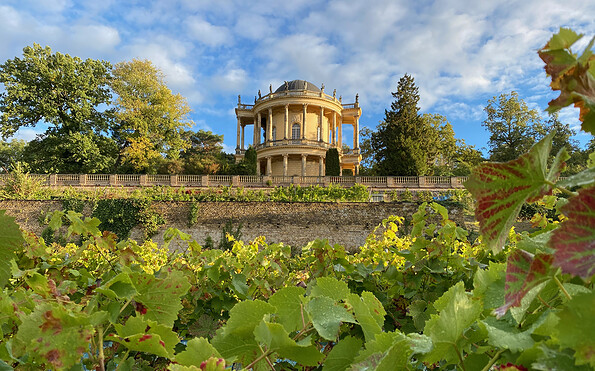 Foto: Andreas Kramp, Lizenz: Mosaik-Berlin gGmbH