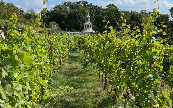 Foto: Andreas Kramp, Lizenz: Mosaik-Berlin gGmbH