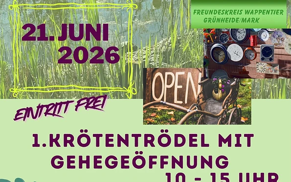 Foto: Lokales Bündnis für Familie Grünheide (Mark), Lizenz: Lokales Bündnis für Familie Grünheide (Mark)