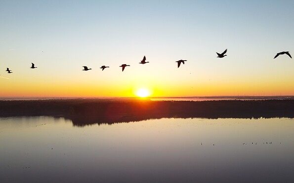 Foto: Ulrich Dahl, Lizenz: LANGES HAUS ALTFRIEDLAND e.V.