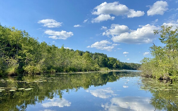 Foto: Nadine Weber, Lizenz: Tourismusverein Scharmützelsee