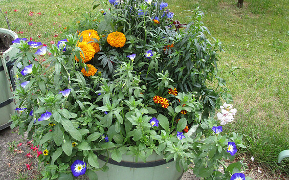 Foto: SPSG, Lizenz: SPSG