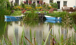 Mehr Gemüse & Obst aus dem eigenen Garten - frischer & preiswerter geht's nicht!