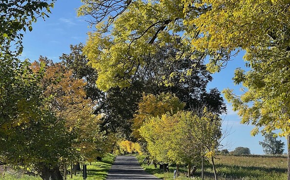 Foto: Clemens Franke, Lizenz: Initiative Zernikow