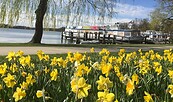Hafen Bad Saarow im Frühling, Foto: Tourismusverein Scharmützelsee, Lizenz: Tourismusverein Scharmützelsee