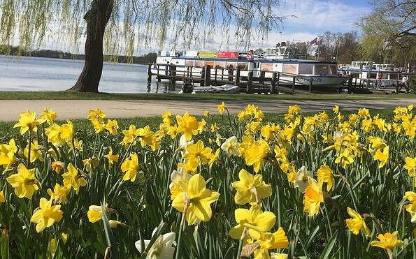 Hafen Bad Saarow im Frühling, Foto: Tourismusverein Scharmützelsee, Lizenz: Tourismusverein Scharmützelsee