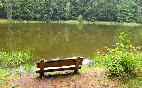 Baa See Bank, Foto: Bernd Müller, Lizenz: NaturFreunde Oberbarnim e.V.