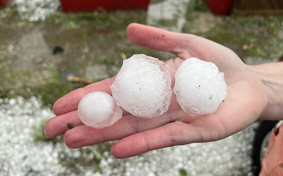 Foto: © Brigitte Boie-Neuner