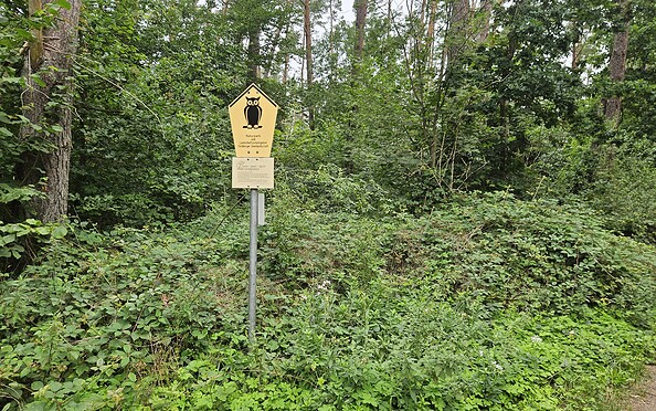 Foto: Ina Pokorny, Lizenz: Naturkundemuseum Potsdam