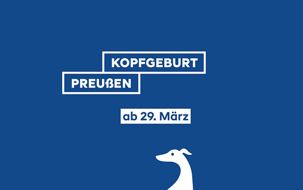 Foto: Brandenburg-Preußen Museum