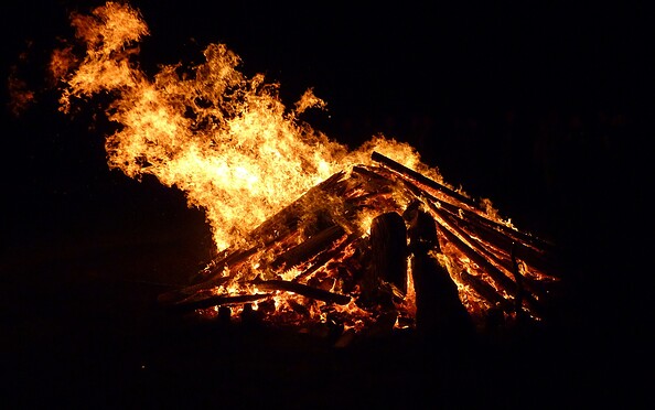 Foto: Pixabay, Lizenz: Pixabay